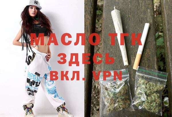 индика Зеленокумск