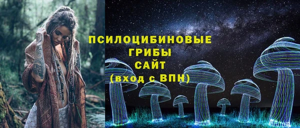 индика Зеленокумск