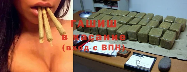 индика Зеленокумск