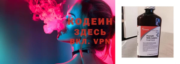 индика Зеленокумск