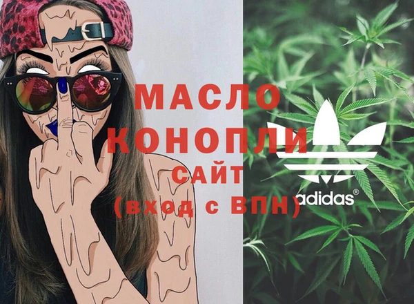 индика Зеленокумск