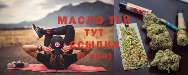 индика Зеленокумск