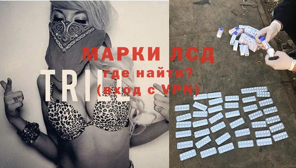 индика Зеленокумск