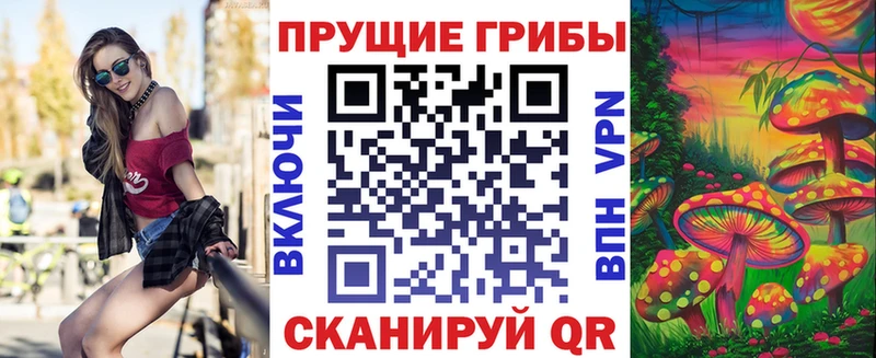 Псилоцибиновые грибы Cubensis  Купить где  Ковдор 